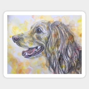 Cocker Spaniel , watercolour background Sticker